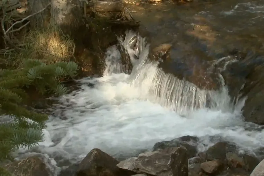 A mountain creek near the LaPorte, Colorado area
